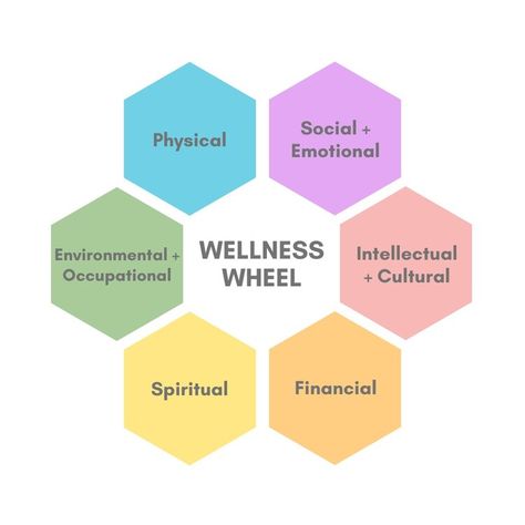 Self Care Wheel, Wellness Wheel, Healthy Coping Skills, Brass Tacks, Diagram Design, Finding Purpose, Balanced Life, Healthy Sleep, Design Jobs