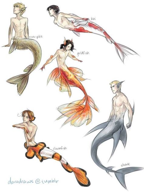 Merman Manga Illustrations, Mermaid Art, Types Of Mermaid Tails, Personaje Fantasy, Bird People, Mermaid Drawings, Mermaids And Mermen, 판타지 아트, Manga Illustration