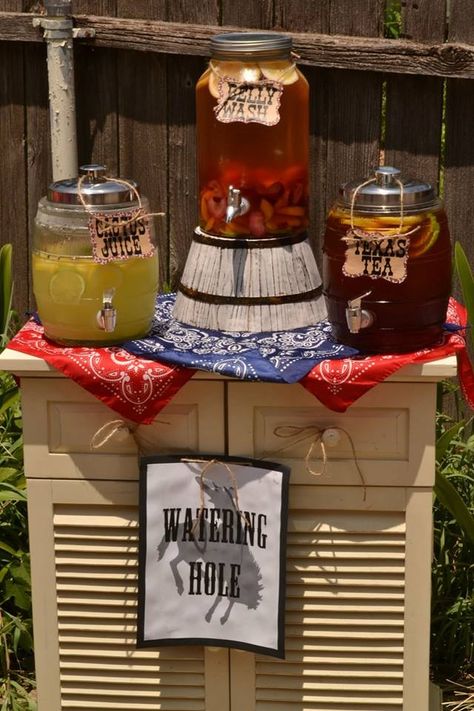 Watering Hole for Western themed 1st birthday party for my son Wild West Food Ideas Western Theme, Western Themed Charcuterie Board, Western Photobooth Ideas, 30th Cowboy Birthday Party, Cowboy Food Ideas Western Theme, Western Bbq, Pedro Pony, 1st Rodeo, Cowboy Theme Party