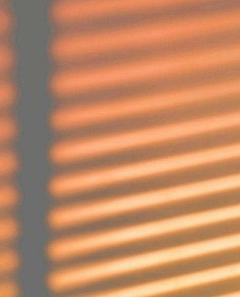 Sun Blinds Effect, Sunlight Window Shadow Aesthetic, Windows Shadow Image, Sun Blinds Aesthetic, Golden Hour Window Shadow, Sun Shadow Window, Window Shadow Photography, Window Shadow Aesthetic, Shadow Of Window