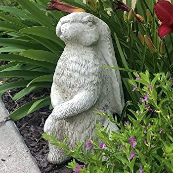 AmazonSmile : Designer Stone English Hare Statue: Solid Cast Stone, Sealed for Outdoor Use, Handcrafted in The USA (Classic) : Garden & Outdoor Stone Garden Statues, Cracked Paint, Rabbit Garden, Rabbit Sculpture, Painted Patio, Diy Pottery, Hardy Perennials, Diy Makeover, Animal Statues