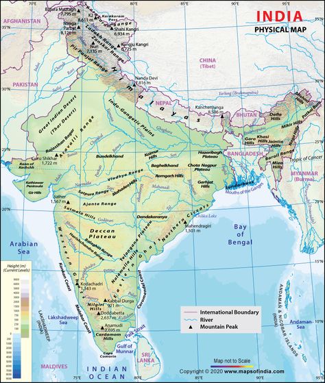 Find all about the physical features of India. Physical Map of India showing major rivers, hills, plateaus, plains, beaches, deltas and deserts. Physical Map Of India, Indian River Map, World Geography Map, Mountains In India, Geography Notes, Map Of India, Map Sketch, Social Studies Notebook, Continents And Oceans