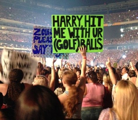 Then there’s the request to be hit with Harry’s “GOLF” balls. Wink. | 19 One Direction Fan Banners You Won't Believe Exist One Direction Outfits, Spit On Me, 1d Concert, Concert Signs, Emotional Blackmail, Leonardo Dicapro, One Direction Shirts, Fan Poster, Harry Styles Concert