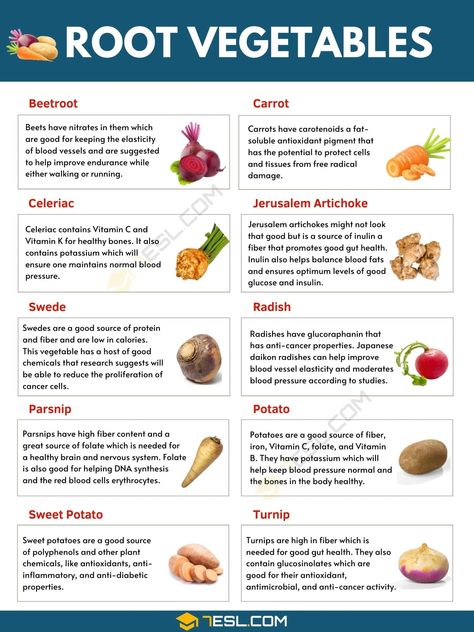 Root Vegetables | Top 10 Root Vegetables & Their Amazing Benefits Vegetable Benefits Chart, Vegetables And Their Nutrients, Health Benefits Of Vegetables, List Of Root Vegetables, Parsnip Benefits, Types Of Root Vegetables, Root Vegetables List, Vegetables And Their Benefits, Vegetables Names In English