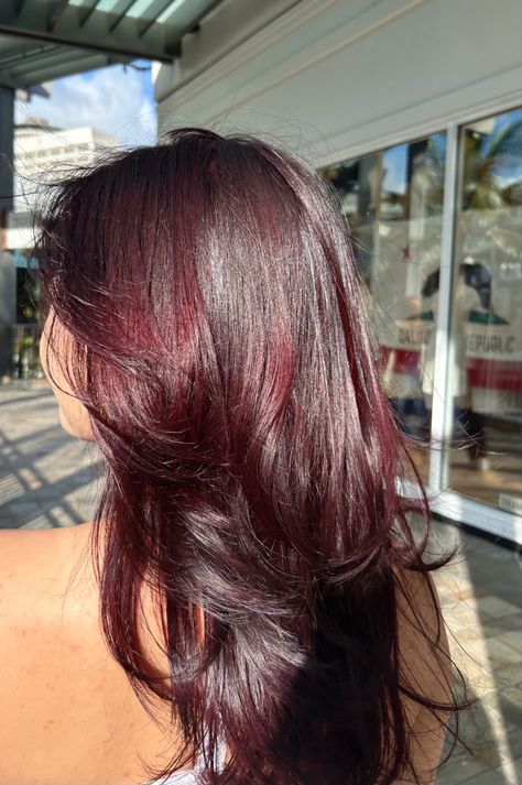 Purple Red Tinted Hair, Cherry Red Hair With Long Layers, Brown Purple Red Hair, Red Hair That Looks Brown, Feria Red Velvet Hair Color, Red Auburn Hair Color Burgundy, Hair Colour For Layered Hair, Rich Dark Red Hair, Brown Red Purple Hair