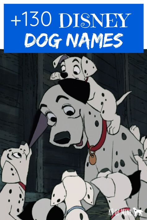 Disney names for your dog! #dogs Dog Names After Characters, Cartoon Dog Names, Disney Girl Dog Names, Disney Dog Names Boys, Names For Dogs Boys, Make Dog Names, Disney Names For Dogs, Cute Dog Names Unique, Disney Boy Names