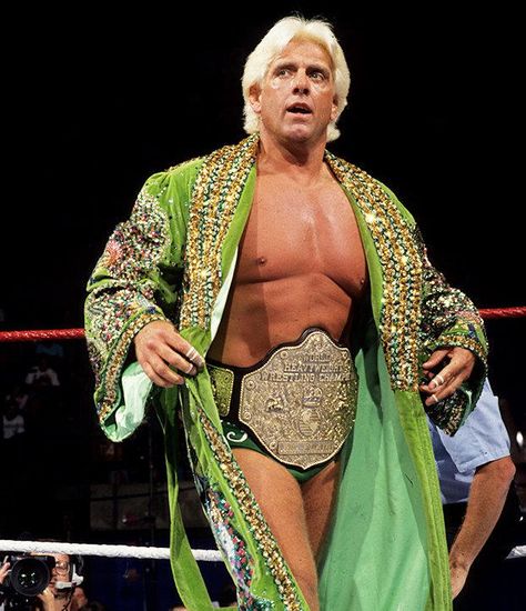 WWE Photo Nature, Big Gold Belt, Woo Man, Maple Leafs Hockey, The Undertaker, Ric Flair, Pro Wrestler, Hulk Hogan, Wrestling Superstars