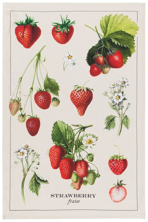 PRICES MAY VARY. 100% Cotton A vivid strawberry bounty collage in hues of red, green, white and yellow provide a charmingly sweet vintage design to your kitchen Ultra absorbent towels perfect to keep on hand around the kitchen and dining room. Charming, unique designs complement home decor. 18 x 28 inches 100% cotton towels keep their size, shape and color through repeated use and cleaning Machine wash warm and tumble dry low for easy care. Do not bleach Now Designs is a collection of kitchen an Strawberry Dishes, Strawberry Kitchen, Plant Care Instructions, Strawberry Tea, Strawberry Decorations, Strawberry Plants, Strawberry Print, Red Strawberry, Strawberry Fields