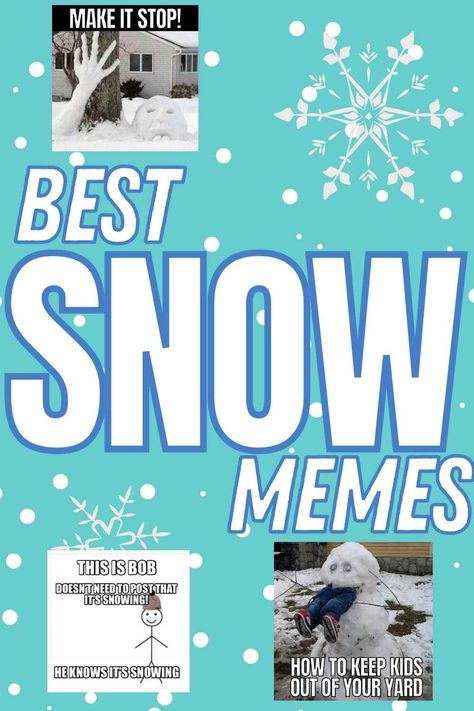 No Snow Humor, Liberal Snowflake Meme, Snow Memes Hilarious, Funny Snow Day Memes, Snow Day Meme Teacher Hilarious, Winter Memes Funny, Winter Memes Humor, Snow Memes Funny, Cold Weather Memes Humor