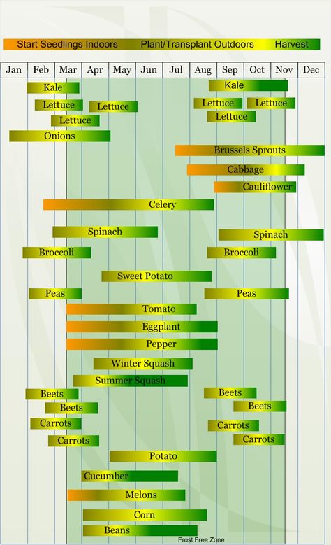 Gardening tips for central Texas (USDA Zone 8). Vegetable Planting Calendar, Seedlings Indoors, Indoor Vegetables, Planting Calendar, Garden Plants Vegetable, Florida Gardening, Gardening Zones, Garden Calendar, Starting Seeds Indoors