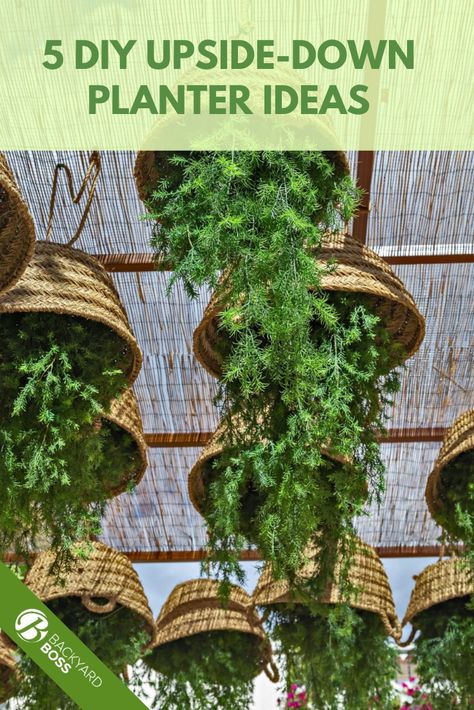 Upside-down gardening is an excellent and different way to build your home garden. Here are five DIY upside-down planter ideas to begin with and give your vertical garden a beautiful appearance. Diy Upside Down Planter, Vertical Garden Planter Ideas, Upside Down Planting, Hanging Vertical Garden, Upside Down Garden, Vertical Hanging Planter, Greenhouse Vertical Garden, Diy Vertical Garden Indoor, Upside Down Plants Diy Hanging Planters