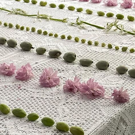 Gohar World on Instagram: "First signs of spring: green almonds, fresh chickpeas, english peas, and fava beans laid across a handmade Old World lace tablecloth. Refresh your linen collection for spring with tablecloths, placemats, napkins, coasters, doilies, and a celebratory bottle apron from Gohar World’s classic collection. 🌸 Team favorites: the Embroidered Lace Tablecloth comes complete with matching napkins for hosting, while the Lace Coasters with Pearls add instant elegance to any tab Doily Table Setting, Gohar World, Tablecloth Design, First Signs Of Spring, Event Studio, English Peas, Signs Of Spring, Fava Beans, Linen Collection