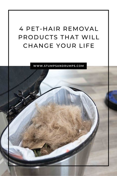 Cleaning Hacks For Dog Hair, Dog Hair Hacks Tips And Tricks, How To Clean Dog Hair Off Couch, Cleaning Dog Hair Off Couch, How To Manage Dog Hair, How To Clean Dog Hair In House, Cleaning Dog Hair House, Get Rid Of Dog Hair In House, Dog Hair Cleaning Life Hacks