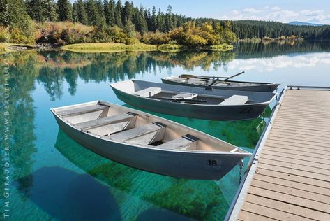 Clear Lake rowboats. McKenzie River, Oregon Cascades photography 104-171-660 Clear Lake Oregon, Sand Mountain, Oregon Landscape, Oregon Photography, Row Boats, Vacation Locations, Lava Flow, Lake Resort, Clear Lake