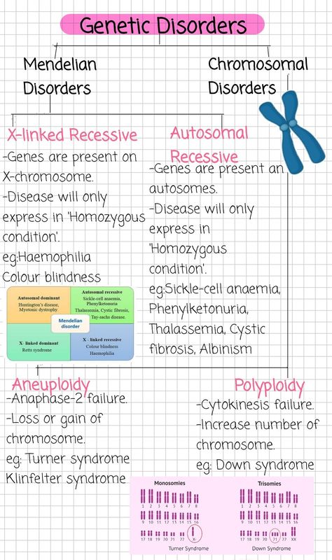 Study Notes Aesthetic Biology, Dna Biology Notes, Interesting Biology Facts, Biology Notes Genetics, Grade 12 Biology Notes, Biology Genetics Notes, Genetics Notes Biology Class 12, Life Sciences Study Notes Grade 12, Mendelian Genetics Notes