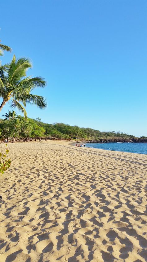 World Bucket List, Red Sand Beach, Usa Places To Visit, Oahu Travel, Hawaii Things To Do, Maui Beach, Maui Travel, Maui Vacation, Camping Spots