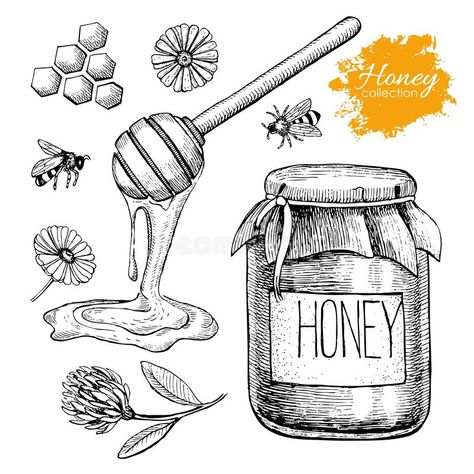 Vector Honey Set. Vintage Hand Drawn Illustration. Stock Vector - Illustration of delicious, health: 61979529 Honey Illustration, Smokers Lines, Honey Art, Engraved Illustration, Honey Label, Honey Design, Man Vector, Flat Icons Set, Engraving Illustration