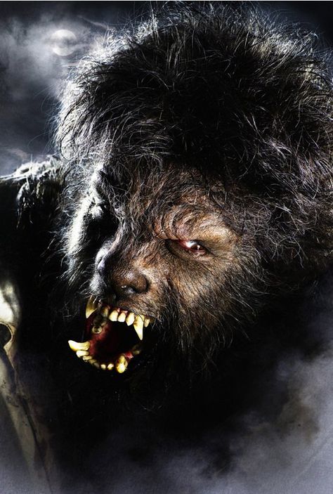 The Wolfman The Wolfman 2010, Real Werewolf, The Wolfman, 1920x1080 Wallpaper, Wolf Man, American Werewolf In London, Vampires And Werewolves, Anthony Hopkins, Universal Monsters