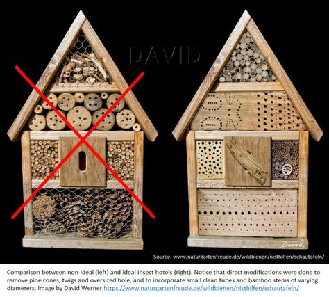 Bee Houses, Bee Hotel, Insect Hotel, Bug Hotel, Insect Spray, Mason Bees, Bee House, Diy Bird Feeder, Bee Garden