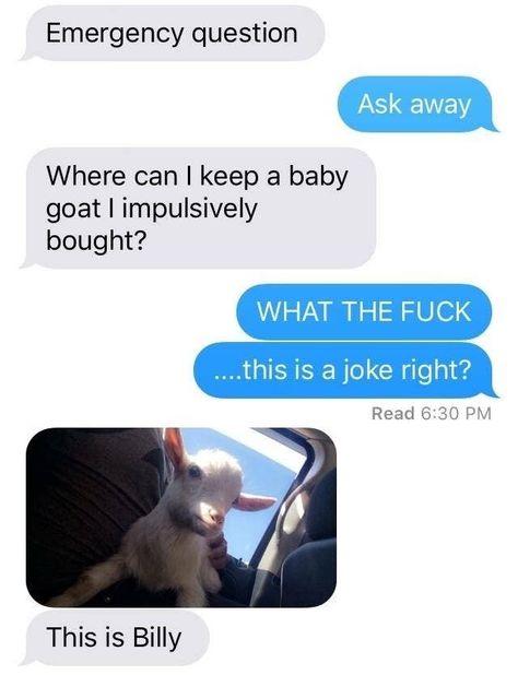 26 Texts That Are Way Funnier Than They Have Any Right To Be Funny Text Messages, Sms Humor, Really Funny Texts, Funny Text Conversations, Funny Texts Jokes, Text Jokes, Me As A Girlfriend, Memes Humor, Funny Messages