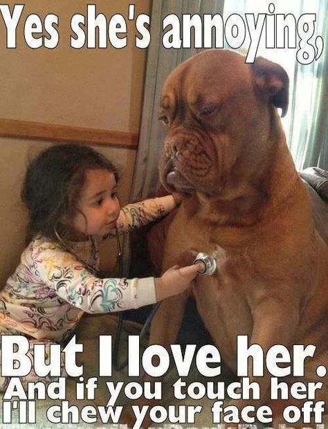 Yes she's annoying, but I love her. Dogs Playing, Happy Happy Happy, Psy I Szczenięta, Playing Doctor, 강아지 그림, Love My Dog, Memes Humor, E Card, Animal Quotes