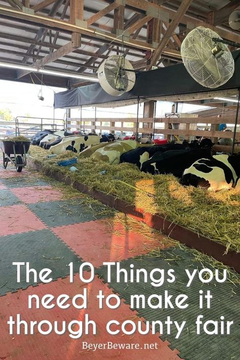 10 things every 4-H Mom needs to have at the county fair or stock show when your kids are showing livestock in 4-H or at National Shows. County Fair Projects, 4h Goats, Show Cattle Barn, 4h Fair, Livestock Quotes, Fair Week, Stall Decorations, Cow Names, Livestock Barn