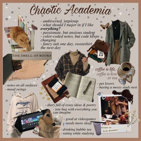 Chaotic Academia aesthetic card, containing pictures and  descriptions of Chaotic Academia. Chaotic Academia Essentials, Writing Academia Aesthetic, Academia Aesthetic Essentials, Studying Academia Aesthetic, Academia Subtypes, Dark Academia Librarian Aesthetic, Chaotic Vibes Aesthetic, How To Have A Dark Academia Aesthetic, Ethology Aesthetic