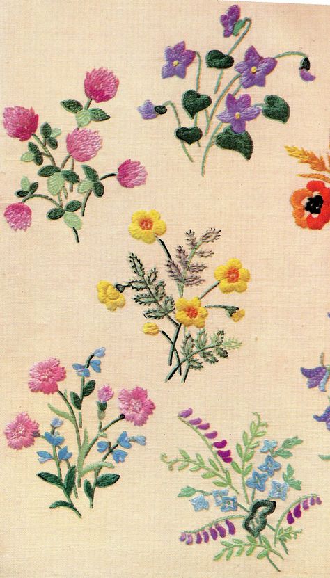 Vintage embroidery 1950 | "Wild flowers", beautifully embroi… | Flickr Vintage Floral Embroidery, Sewing Lace, Pola Sulam, Embroidery Transfers, Hand Embroidery Flowers, Embroidery Patterns Vintage, Sewing Embroidery, Embroidery Flowers Pattern, 자수 디자인