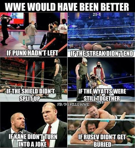 Wwe Facts, Wwe Quotes, Wrestling Funny, Wrestling Memes, Wrestling Quotes, Wwe Funny, Undertaker Wwe, The Shield Wwe, Wrestling Posters