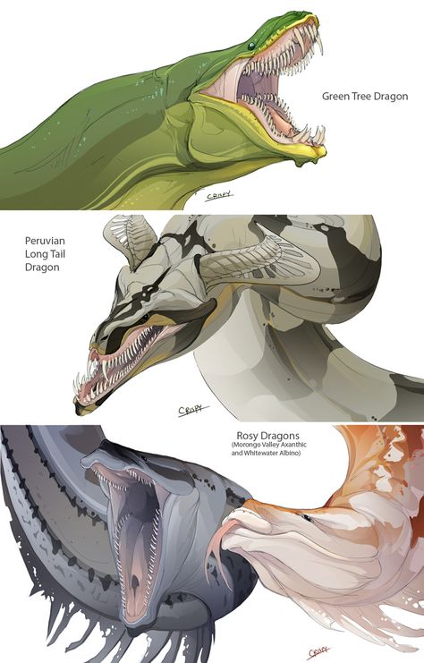 SNAKE DRAGON Character Sketches, Snake Dragon, Illustration Fantasy, Fantasy Beasts, Gambar Figur, Monster Concept Art, Creature Drawings, Haiwan Peliharaan, Dragon Artwork
