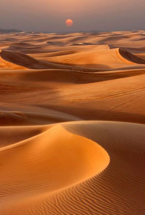 Desert sunset Desert Aesthetic, Deserts Of The World, Desert Photography, Desert Life, Image Nature, Sahara Desert, Photography Wall, Desert Landscaping, Sand Dunes