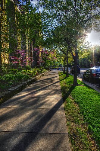 One Sunny Afternoon | The University of Chicago Nature, Harvard Campus, University Of Chicago, Centennial Park, Nice Places, The University Of Chicago, Insta Profile Pic, Sunny Afternoon, Northwestern University
