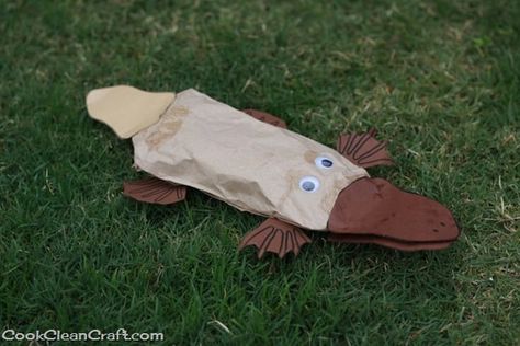 Paper bag Perry the Platypus craft (6) Platypus Craft Preschool, Platypus Craft, Animals Paper Craft, Paw Template, Wombat Stew, Animal Paper Craft, Australia For Kids, Paper Craft Ideas For Kids, Cheap Craft Supplies