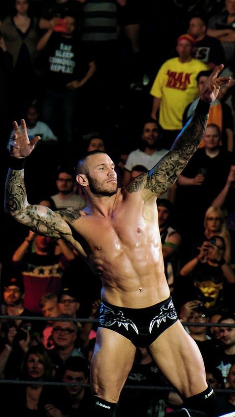 Randy Orton Randy Orton Hot, Randy Orton Rko, Wwe Facts, Fighting Sports, Randy Orton Wwe, Wwe Pictures, Watch Wrestling, Wwe Legends, Wwe Wallpapers