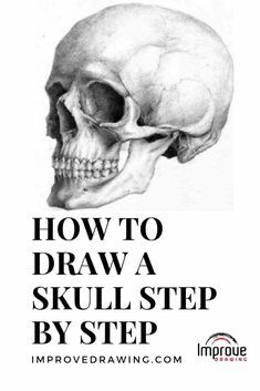 How to Draw a Skull: A Step by Step Guide Draw A Skull, Improve Drawing, Easy Skull Drawings, Improve Drawings, Skull Sketch, Skull Art Drawing, Easy Drawing Tutorial, Skulls Drawing, Art Sketches Pencil