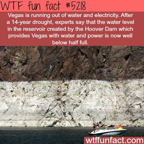 WTF Facts : funny, interesting & weird facts Humour, Crazy Facts, Nature, Random Facts, What The Fact, Facts Funny, Water Water, Science Facts, Interesting History