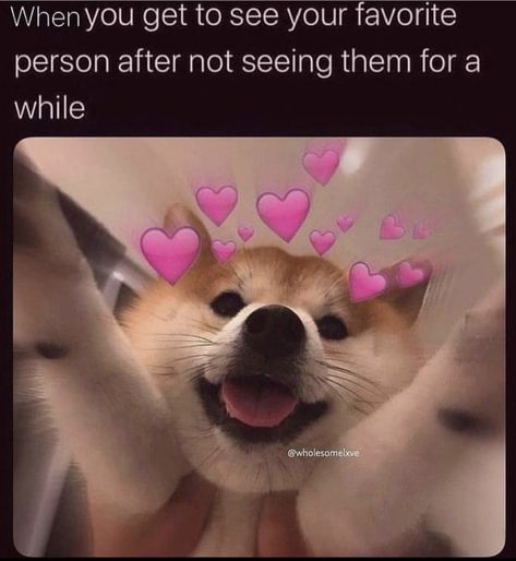 These funny and wholesome love memes are perfect to send to your partner. Nothing says 'I love you' like funny memes. #funny #memes #love #lovememes Send To Your Partner, I Miss You Meme, Wholesome Love, I Miss You Cute, Bf Memes, Love You Meme, Gf Memes, Love Memes Funny, Love You Cute