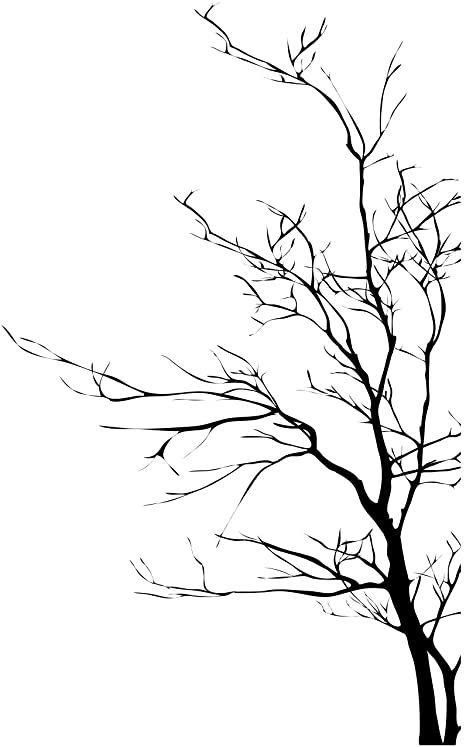 Trees Art Drawing, Tree Branch Tattoo, Branch Drawing, Tree Branch Wall, Tree Stencil, Simple Tree, Tree Sketches, Sticker Black, Tree Stickers