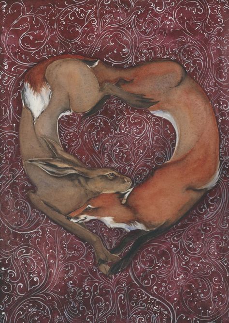 The Space Between the Fox and the Hare; or, a Curious Love Story Fox And Bunny Art, Hares In Art, Fantasy Field, Fox And Bunny, Jackie Morris, Balance Of Life, Fox And Rabbit, Rabbit Art, Fox Art