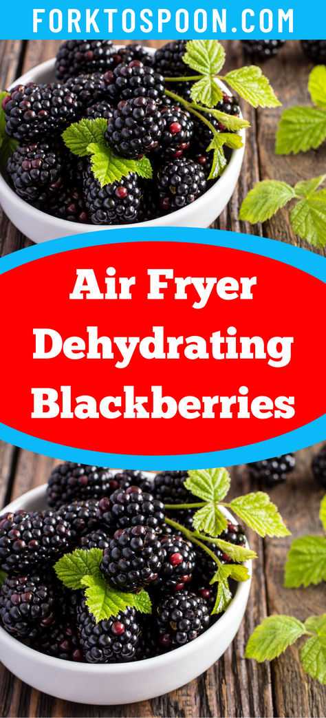 Air Fryer Dehydrating Blackberries dehydrating blackberries in dehydrator dehydrating blackberries dehydrated apples dehydrated banana chips dehydration dehydration symptoms dehydration remedies dehydrated skin dehydrated food dehydrated dehydrating food dehyra dehydrated pears dehydrated snacks dehydrated herbs dehydrating peppers dehydrate oranges dehydrating bananas dehydrate dehydrate bananas dehydrate potatoes dehydrated zucchini chips dehydrated spongebob dehydrated green beans Dehydrator Recipes Air Fryer, Dehydrated Spongebob, Dehydrating Peppers, Dehydrate Oranges, Dehydrated Pears, Dehydrated Herbs, Dehydrating Bananas, Dehydrate Bananas, Dehydrated Green Beans