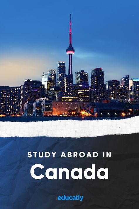 Do you want to take your Bachelors or Masters abroad in Canada or in 90 other countries around the world? Receive a free 1-1 study abroad consultation including visa support by filling out this short form ✈️ There is amazing things to do in Canada, explore Canada and study in the best universities in North America. If you want more tips for studying abroad, follow us! The question How to Study Abroad is answered with Educatly. Pastel, Masters Abroad, Things To Do In Canada, Tips For Studying, Canada Study, Best Universities, Study In Canada, How To Study, Studying Abroad