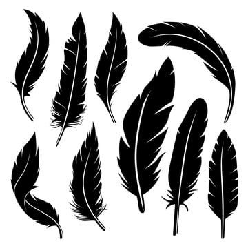 feather icons,black icons,silhouette icons,vector,logo,design,graphic,template,isolated,white,background,business,company,brand,identity,illustration,concept,idea,icon,label,product,sign,symbol,inspiration,feather,quill,curved,peacock,detail,art,flying,writing,easy,pen,black,bird,signs,pattern,silhouette,letter,vignetting,object,image,smooth,single,elegance,element,outline,ink,drawing,plume,antique,clip,logo vector,pattern vector,bird vector,label vector,graphic vector,feather vector,pen vector, Feather Vector Illustration, Black Feather Drawing, Drawing Of Feathers, Feather Concept Art, Raven Feather Drawing, Bird Feathers Drawing, Feathers Outline, Bird Outline Drawing, Feather Design Pattern