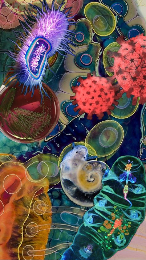 #myfirstshuffle #microbiology #biology Microbiology, Biology Poster, Human Body Art, Biology Art, Cute Laptop Wallpaper, Van Gogh Art, Plaster Art, Edgy Wallpaper, Oil Painting Flowers