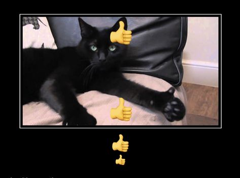 Cat With Thumbs Up, Cat Giving Thumbs Up, Cat Thumbs Up Reaction Pic, Cat Thumbs Up, Thumbs Up Reaction Pic, Cat With Thumbs, Cursed Cats, Cat Reaction, Silly Cars