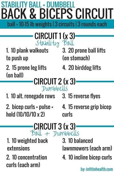 Back And Bicep Circuit Workout, Back Circuit Workout, Bicep Workout Women, Back And Bicep Workout, Circuit Training Workouts, Bicep Workout, Stability Ball Exercises, Arm Workout Women, Barbell Workout