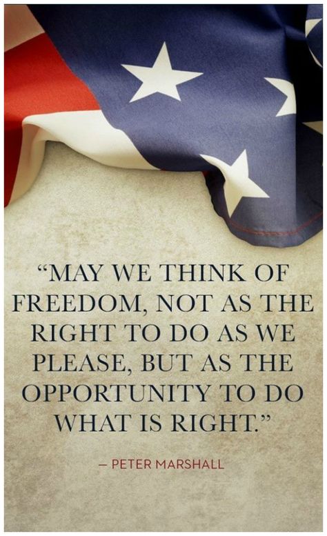 Happy Veterans Day Quotes, Veterans Day Images, America Quotes, Veterans Day Quotes, Diy Flag, Independence Day Quotes, Patriotic Images, Plain People, Patriotic Quotes