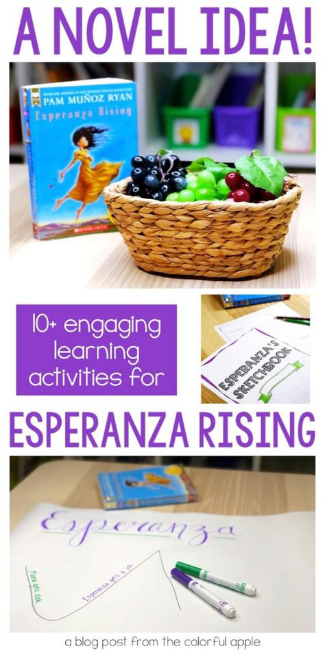 6th Grade Ela, Spanish Novels, Reading Engagement Strategies, Classroom Necessities, Book Study Activities, Esperanza Rising, Reading Interventionist, Novel Activities, 5th Grade Ela