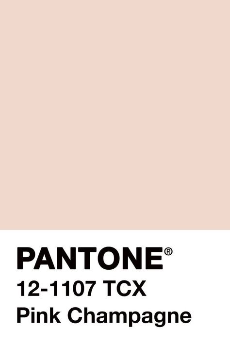 Pink champagne Pantone Pink, Pantone Palette, Pantone Colour Palettes, 패턴 배경화면, Boho Stil, Colour Pallete, Color Inspo, Colour Board, Iphone App
