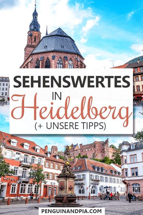 Du bist auf der Suche nach den besten Heidelberg Sehenswürdigkeiten? Wir haben die Stadt besucht und teilen unsere Tipps zum Heidelberger Schloss, der Bergbahn zum Königstuhl und vielem mehr! #heidelberg #deutschland #reisetipps Trier, Things To Do In Heidelberg Germany, Heidleburg Germany Things To Do, Best Things To Do In Germany, Heilderberg Germany, Heidleburg Germany, Germany Heidelberg, City Guide Design, South Germany