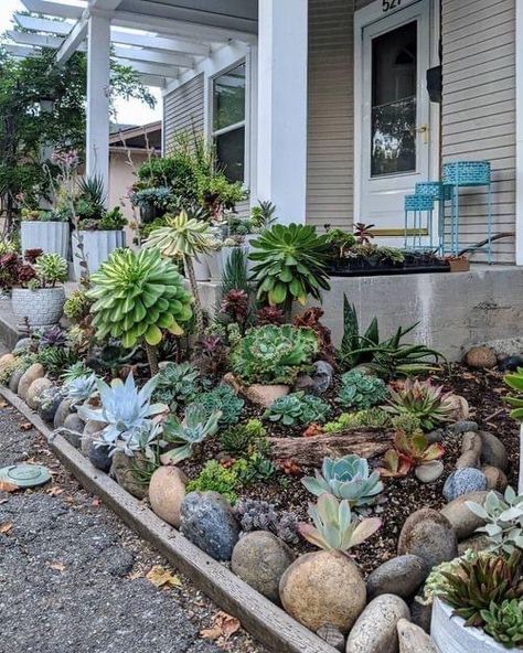 Succulent Rock Garden, Succulent Garden Outdoor, Succulent Garden Landscape, Vertical Succulent Gardens, Succulent Display, Succulent Landscape Design, Succulent Landscaping, Succulent Garden Design, Succulent Garden Diy